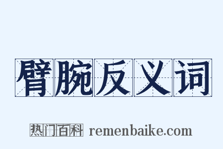 臂腕反义词是什么意思的图片